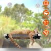 Cat Window Perch Cat Hammock Window Seat Window Mounted Cat Bed Hanging Cat Seat Hold up to 66lbs