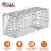 Humane Cat Trap Cage Catch Release Live Animal Rodent Cage Collapsible Galvanized Wire for Raccoons Beavers Groundhogs Foxes Armadillos