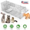 31x12x11” Heavy Duty Folding Live Animal Trap Cage Humane Easy To Catch And Release Trap For Stray Cats Raccoons Squirrel Skunk Groundhog Armadillo Ra