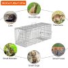Humane Cat Trap Cage Catch Release Live Animal Rodent Cage Collapsible Galvanized Wire for Raccoons Beavers Groundhogs Foxes Armadillos