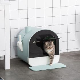 Cat Litter Box with Lid, Covered Litter Box for Indoor Cats with Tray, Scoop, Mat, Filter, 17" x 17" x 18.5" , Green