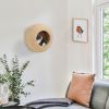 Wall Mounted Cat Condo, Nature Wood, with Washable Cushion, Cat Wall Shelf for Indoor Cats & Kittens