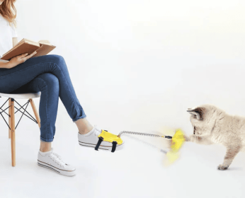 Pet Cat Feather Spring Toys