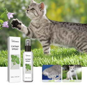 Yegbong Catnip Spray