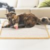 Cat Scratching Mat Natural Sisal Anti-Slip Mat Horizontal Cat Floor Scratching Pad Rug 
Kitten Play Toys Protect Carpets Sofasµrniture