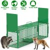 40in 2 Door Live Animal Cage Trap For Animals Under 18LBS Easy To Setup Humane Galvanized Iron Trap Cage For Raccoons Armadillos Foxes Opossums Muskra