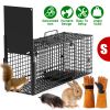 26in Single Door Live Animal Cage Trap For Animals Under 5LBS Easy To Setup Humane Galvanized Iron Trap Cage For Small Cats Rabbits Squirrels Moles Ch