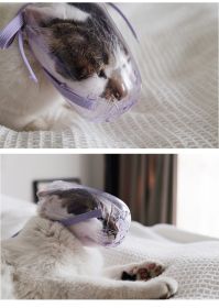 Transparent cat eye mask and anti bite head cover for pets Anti bite headgear (select: Cat headgear-S)
