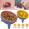 Raised Tilted Elevated Cat Food Bowl Pet Backflow Prevention Water Dish Feeding Bowl for Cats Small Dogs GPCT3388