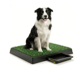 Dog Bed With Tray, Dog Waste Pad, Reusable Artificial Grass Waste Pad, With Drainage Holes (Option: Green)