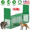 40in 2 Door Live Animal Cage Trap For Animals Under 18LBS Easy To Setup Humane Galvanized Iron Trap Cage For Raccoons Armadillos Foxes Opossums Muskra